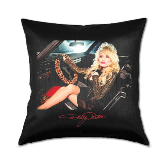 Load image into Gallery viewer, Rockstar Album Cover Throw Pillow

